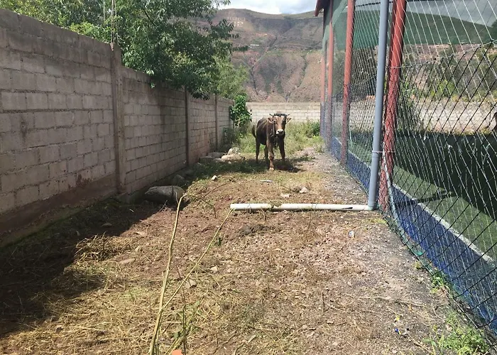 ロッジ Casa Camping Urugua